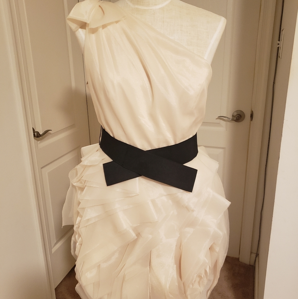 Formal Braidesmaid/ Prom/ Party Dress